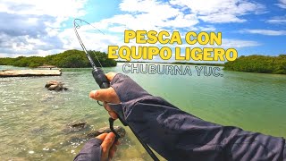 Pesca en Chuburná Yucatán [upl. by Dachi]