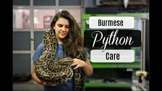 Burmese Python Care and Maintenance [upl. by Ettenay547]