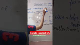 Simple cuboidal Epithelium Biology class 11 biology  shorts  NEET [upl. by Teeter]