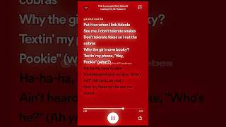 Pink lemonadehey pookiehear DOOKIE lyrics🤓🤙🫧fypシ゚ lyricsspotifypinklemonade [upl. by Rebm410]