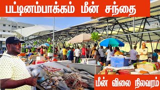 Pattinapakkam New Fish Market  புது பொலிவுடன் பட்டினம்பாக்கம் மீன் சந்தைPattinapakkam Fish Market [upl. by Yonina]