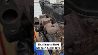 Can we bring this d1105 back to life kubota rtv rtv900 rtv1100 rtvx1100 [upl. by Warila]