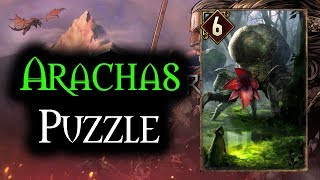 Arachas Puzzle  Thronebreaker The Witcher Tales [upl. by Nnylcaj971]