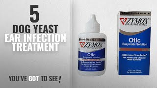 Top 5 Dog Yeast Ear Infection Treatment 2018 Best Sellers Pet King Brand Zymox Otic Pet Ear [upl. by Ardnasak]