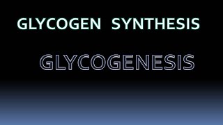 GLYCOGENESIS  glycogen metabolism biochemistry [upl. by Behnken]