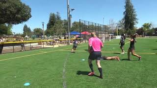 Harlequins NorCal Summer 7s 2024 Second Tournament [upl. by Nevanod464]