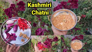 Best Kashmiri Chatni  Red Chilly amp Brinjal Chatni With Walnut amp Cockscomb flower [upl. by Lehmann]