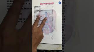 Abdomen Anatomy Notes For University Exams Johari MBBS [upl. by Darnell]