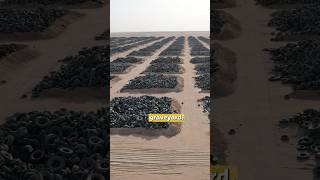 Why Kuwait Stores 7 Million Tires [upl. by Jillie]