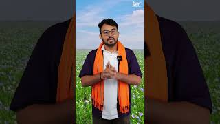 Alsi ki kheti ka sahi samay 🤩👈 flaxseed kab lagana chahiye flaxseed alsi dehaat youtubeshorts [upl. by Estes934]