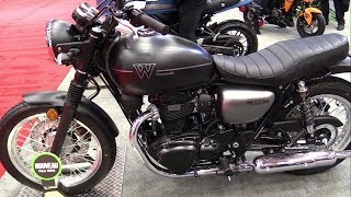 2019 Kawasaki W800 [upl. by Yerocaj]