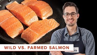 The Scientific Difference Between Cooking Wild and Farmed Salmon [upl. by Nirej]