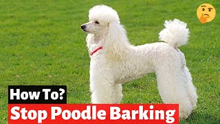 How to Get a Poodle to Stop Barking  Poodle Behavioral Problems [upl. by Odnalo415]