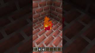 Burning A Endermite In Minecraft 10 [upl. by Jens]