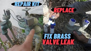 2 Ways To Fix Brass AntiSiphon Sprinkler Valve Leak Tips for Rebuild W Repair Kit or Replacement [upl. by Grous]