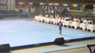 Flavia Saraiva 2014 Pan Am Jr EF FX [upl. by Revorg]