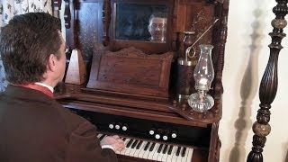 Sir Reginalds Marvellous Organ [upl. by Ellerrehs]