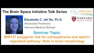 MIR137 polygenic risk for schizophrenia and ephrinregulated pathway Role in brain morphology [upl. by Marin]