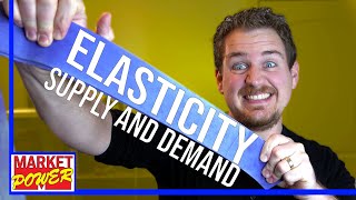 How To Understand Elasticity Economics [upl. by Hplodur]