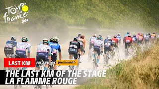 Last Km  Stage 9  Tour de France 2024 [upl. by Tedi]