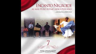 Serie Orgullosos  Encanto Negroide Vol 7  Varios Artistas Full Album [upl. by Notaes]