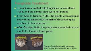 The Significance of Arbuscular Mycorrhizal Fungi and Its Association with Plant Diversity [upl. by Anrat318]