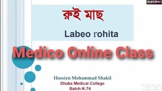 Medico Online Class  রুই মাছ  Dr Shakil  মেডিকো অনলাইন ক্লাস  All Request PDF [upl. by Malynda183]