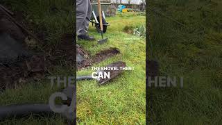 The Easiest Way To Lift Turf A Stepbystep Guide allotmentdiary gardening allotmentuk [upl. by Namajneb]