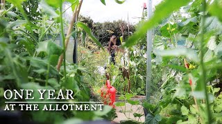 Harvesting Happiness First Year In Our English quotCottagequot Allotment Garden [upl. by Elbys595]