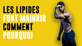 Les lipides font maigrir [upl. by Leuams]