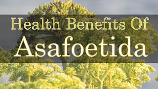 Health benefits of asafoetida [upl. by Naves618]