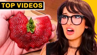 MOST INCREDIBLE People Who Got Lucky With Food  SSSniperWolf [upl. by Mailliwnhoj548]