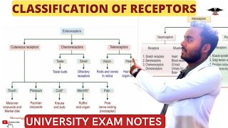 Classification of Receptors Exteroceptors and Enteroceptors CNS Physiology [upl. by Harding820]