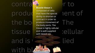 Muscle tissue muscle tissue definition muscletissue muscle tissue biology youtubeshorts [upl. by Dysart]