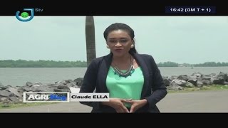 STV  AGRI Mag  PISCICULTURE au CAMEROUN  Les CREVETTES  Mercredi 29 Mars 2017  Claude ELLA [upl. by Banquer684]