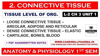 Connective Tissue  L2 Ch 3 Unit 1  Connective Tissue Anatomy And Physiology  Carewell Pharma [upl. by Libys201]