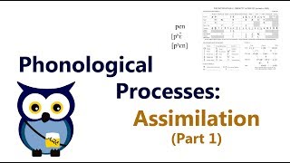 Phonological Processes Assimilation Part 1 [upl. by Bruning]