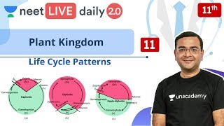 NEET Plant Kingdom  L11  Life Cycle  Class 11  Live Daily 20  Unacademy NEET  Pradeep Sir [upl. by Maggi]