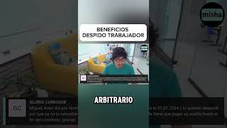 Beneficios Trabajador Despedido [upl. by Atiuqahc]