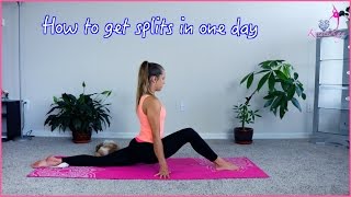 How to do the splits in one day [upl. by Gonick]