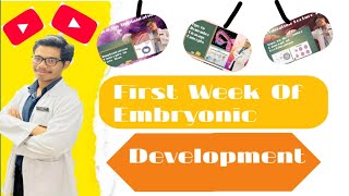 First Week of Embryonic Development [upl. by Gael]