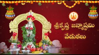 Krishnashtami Celebrations  Sri Seeta Ramanjaneya Anantha Ramalingeswara Swamy Temple [upl. by Standing]