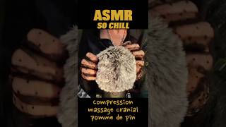 ASMR Croustillant  Compression amp Brushing mic no talking 😴 crunchy asmrsounds brushing [upl. by Riada]