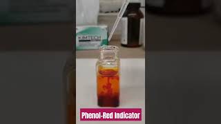 PhenolRed indicator colour in acidic and basic solutions l chemistry shorts [upl. by Nolak]