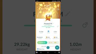 🍀Lucky Buizel Family Floatzel Pokemon Go pokemon pokemongo pokémongo [upl. by Dyanne]