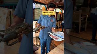 Top Seafood Restaurant In Bangalore Bangalore Food  Bangalore Cafes  Bengaluru [upl. by Alano]