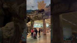 Beautiful Bass pro shops tsawwassen mills Delta BC [upl. by Eleanora893]