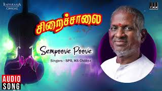 Siraichalai Movie Songs  Sempoove  Mohanlal Tabu Prabhu  SPB KS Chithra  Ilaiyaraaja Official [upl. by Ulda]