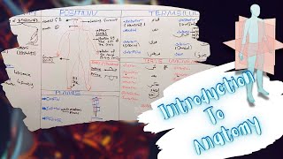 Introduction To Anatomy Anatomical Planes Position Terms of Location amp Movements شرح بالعربى [upl. by Inait]