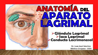 🥇 APARATO LAGRIMAL Glándula Lagrimal Fácil y Sencilla [upl. by Etteniuqna]